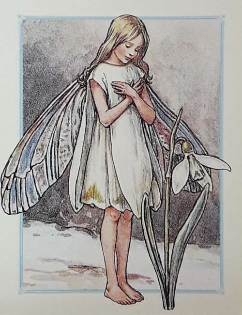 Fairy Cards (+free shipping)